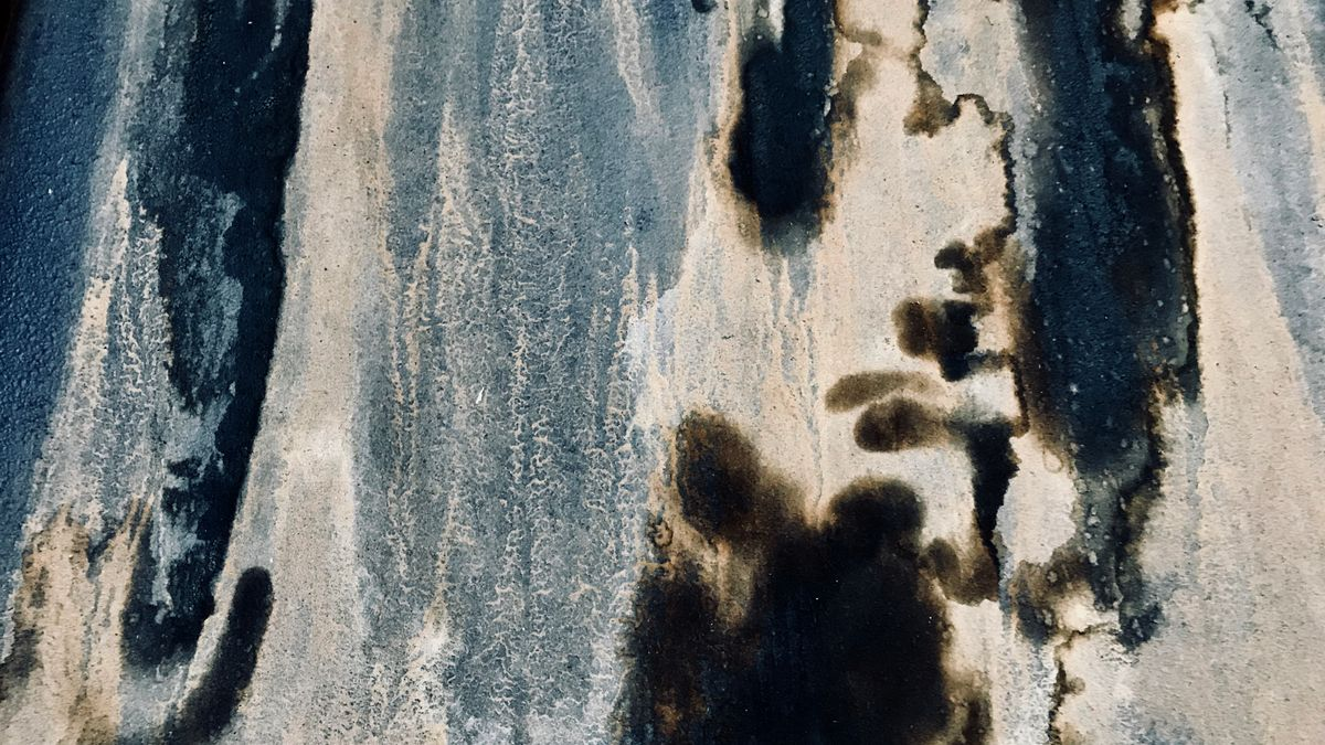 Traces de moisissure noire sur un mur abîmé